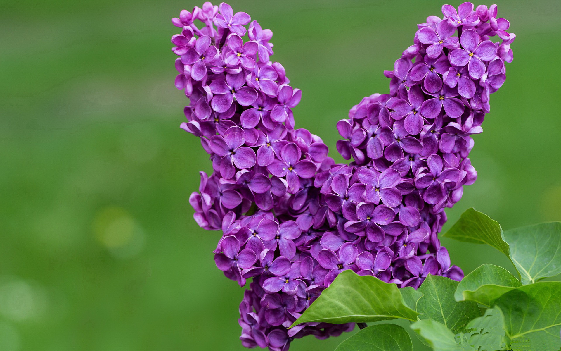 -亚洲新人篮球友谊赛引爆热度，实力对决精彩绝伦，亚洲篮坛呈现出新的格局