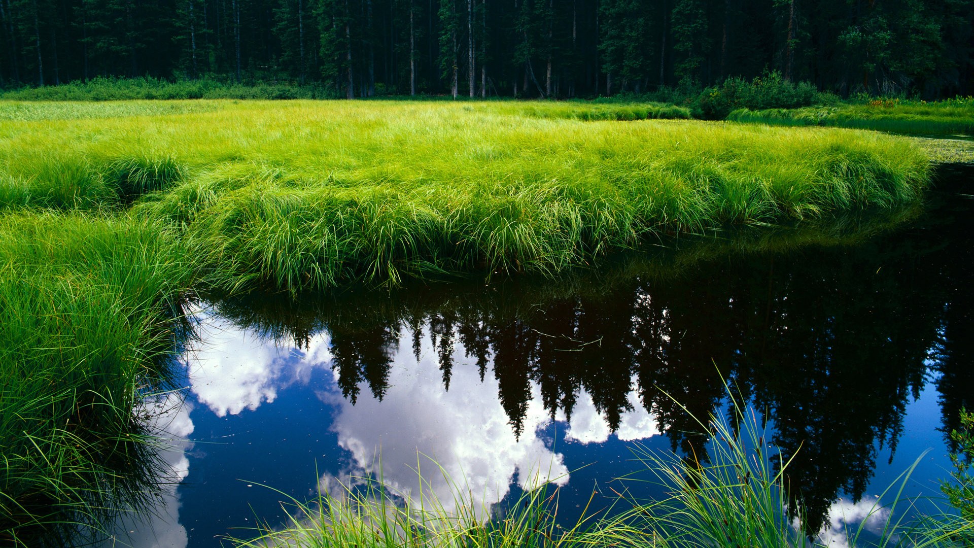 熊猫体育在线官网-快船队球队替补阵容发挥稳定,快船球队成员