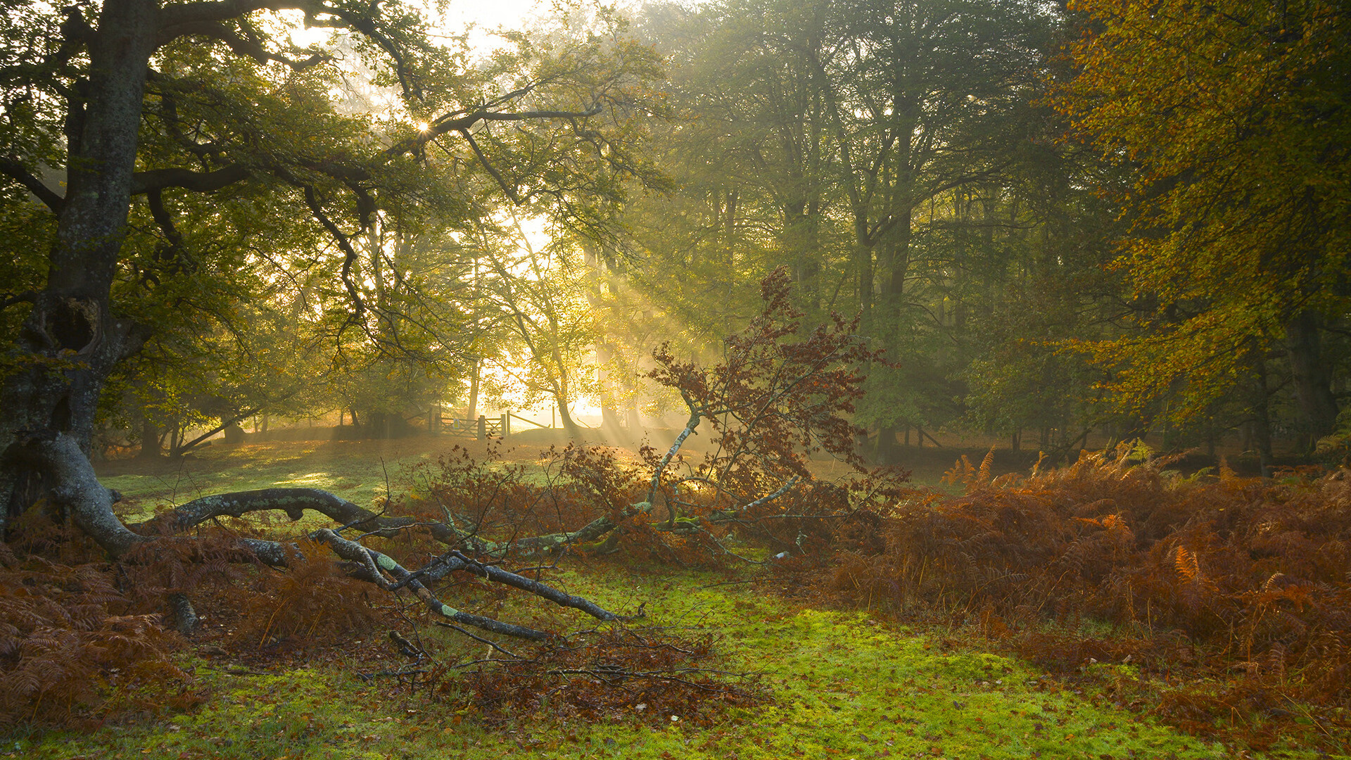 熊猫体育娱乐-德国女足惊险获胜,晋级之路一触即发,德国女足球队