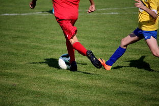 熊猫体育-世界马拉松大满贯赛事上海站开跑，世界马拉松大满贯赛事上海站开跑时间