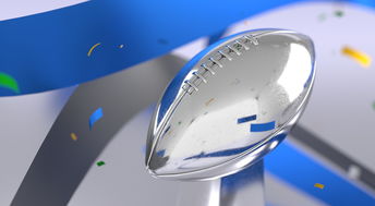 熊猫体育直播-青少年体育运动安全保障体系构建与应用研究,青少年体育工作