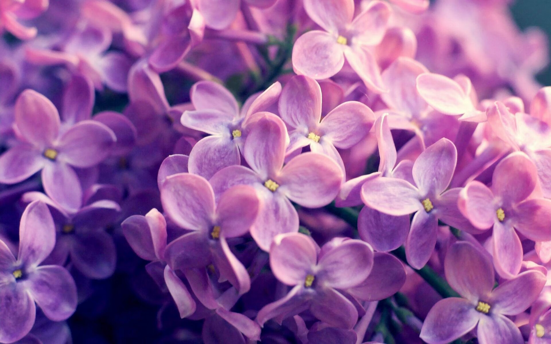 熊猫体育娱乐-CBA球队推动战术数据实时反馈系统,cba战术视频