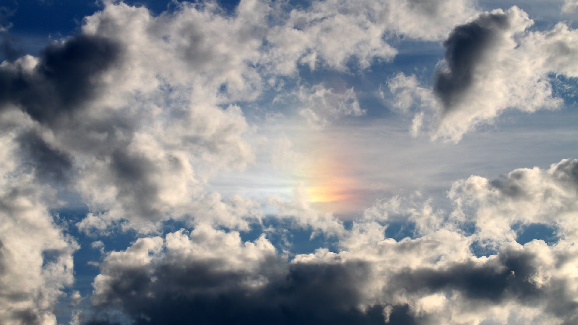 熊猫体育在线-乔·波尔曼强悍的突破能力,为袋鼠队在攻防两端提供支持,乔什·鲍曼