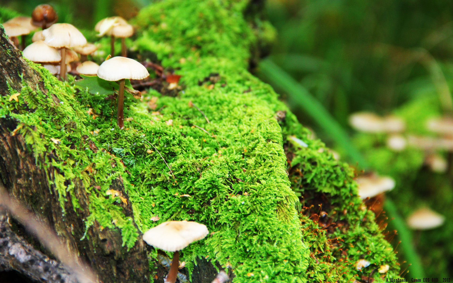 详细阅读:熊猫体育平台安全-国家队科学训练体系不断完善推动竞技水平稳步提升,国家体育总局科学训练讲座 熊猫体育平台安全-国家队科学训练体系不断完善推动竞技水平稳步提升,国家体育总局科学训练讲座